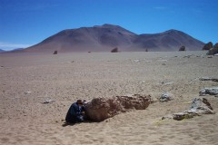 053_-_sampling_plantas