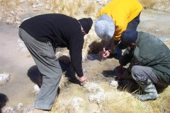 Edmond's Experiments (43 photos)