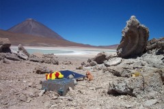 142_-_animals_at_work