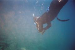 Lassen-_2400_m_Brian_1