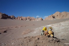 036_-_animals_at_valle_de_la_mu