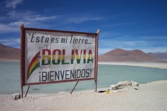 050_-_animals_in_bolivia