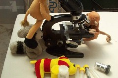 094_-_animals_at_work