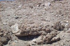 155_-_mayel__amp__nath_transect