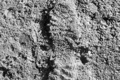Bootprint_In_Salt