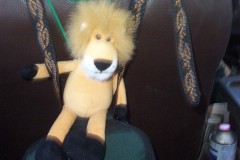 057_-_leo_strapped_in