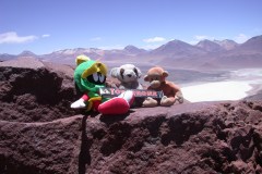 Mascots_and_Toblerone