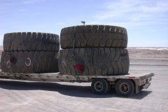 Monster_Truck_Tires