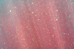 Licancabur - Life Underwater (13 photos)