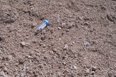 LagBlancaStromatolitefieldJanice1