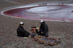 IMG_8709_Log_5_Eldonet_best__Large_