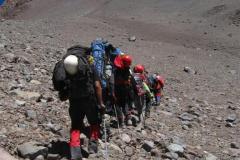 IMG_8516_Log_5_team_line__Large_